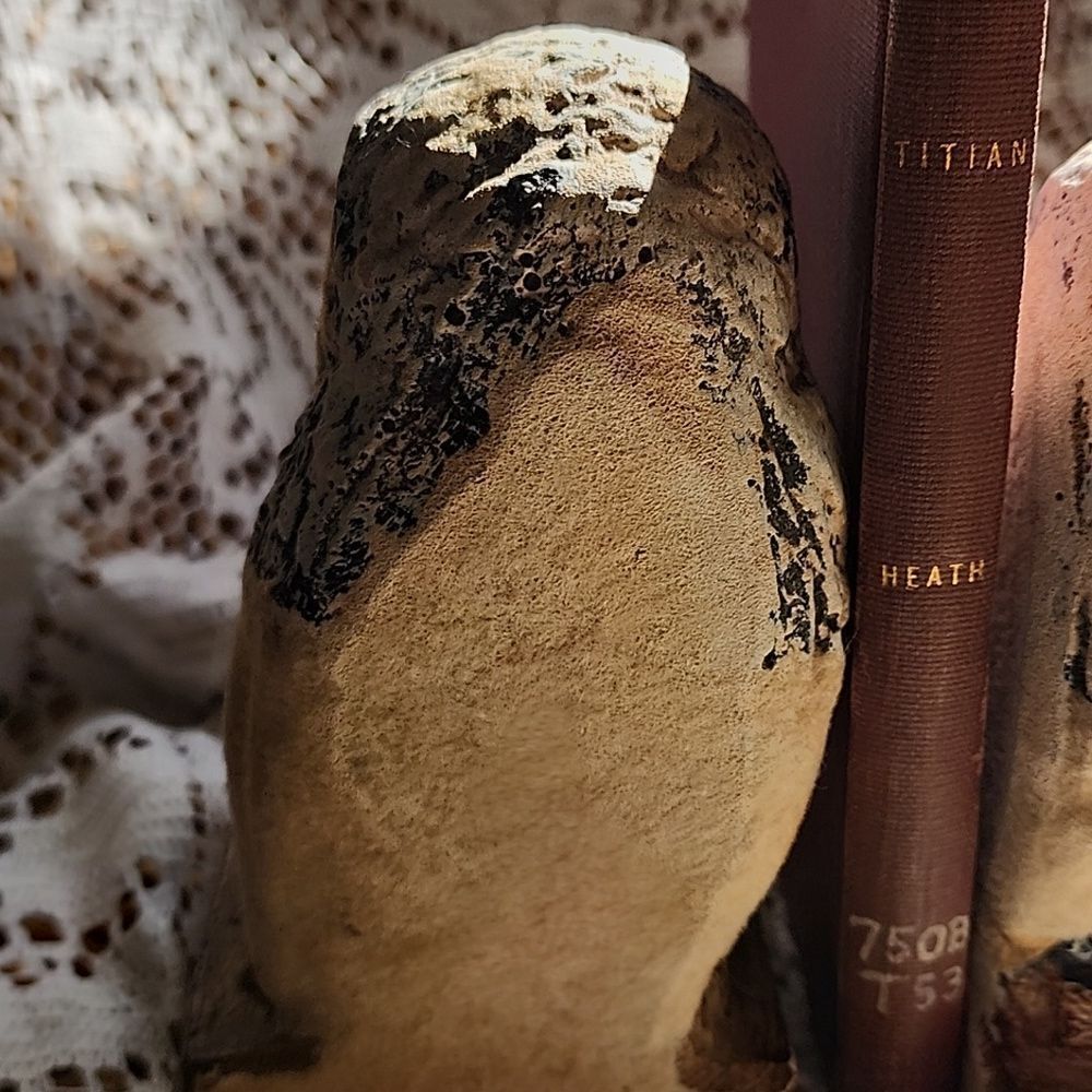 Chippy Chalkware Knowledge Owl Bookends - Picture 9 of 13